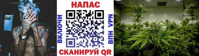 купить  сайты  Сурск  Бошки Шишки Ganja 